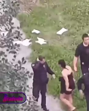                  -     ,   ...