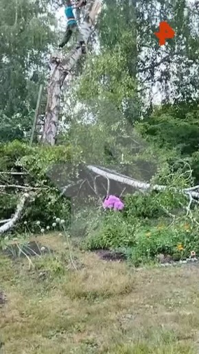         &quot;&quot;  