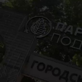  :        ,      