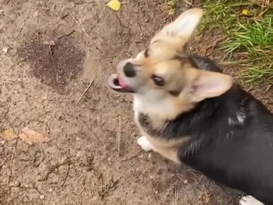        !