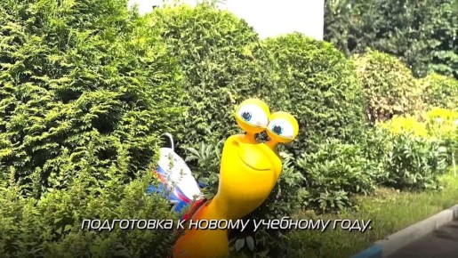  :    ,          ,      ,      