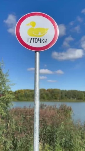  ? !.       ?