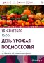 13     VI    