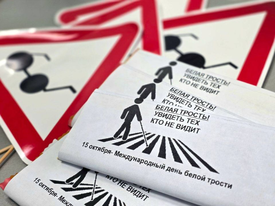 В Международный день белой трости Госавтоинспекция Подмосковья усилила внимание к дорожной безопасности