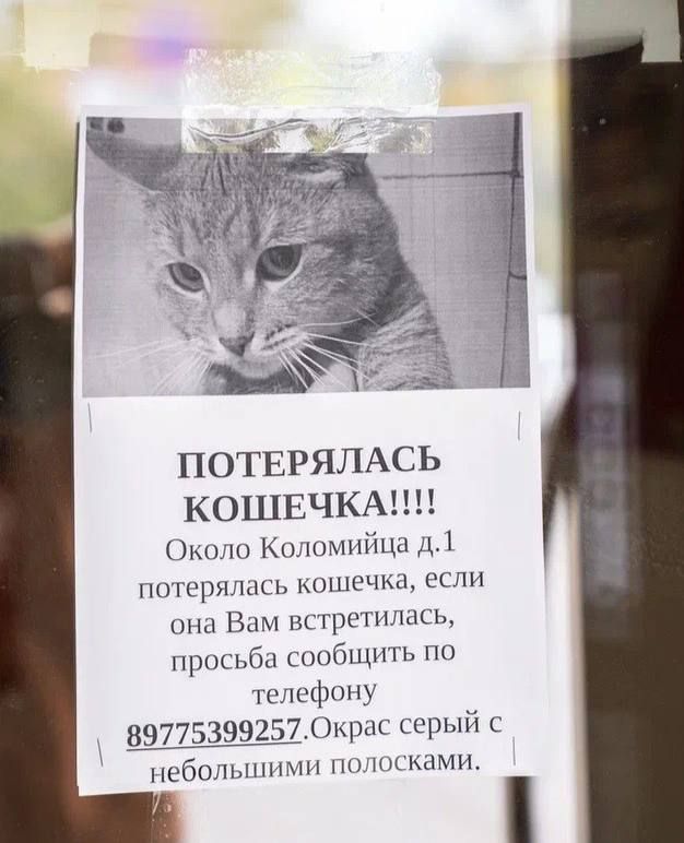 Важное уточнение к проведению акции #ЛУЧШЕСРАЗУВУРНУ