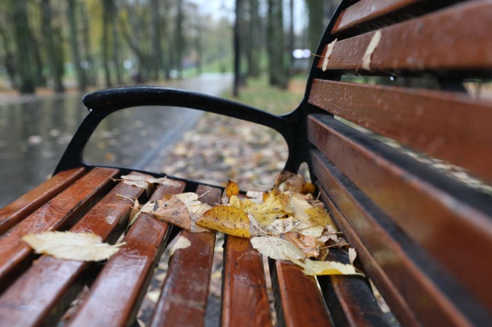 Парк Долгопрудного приглашает на «Азбуку спорта»