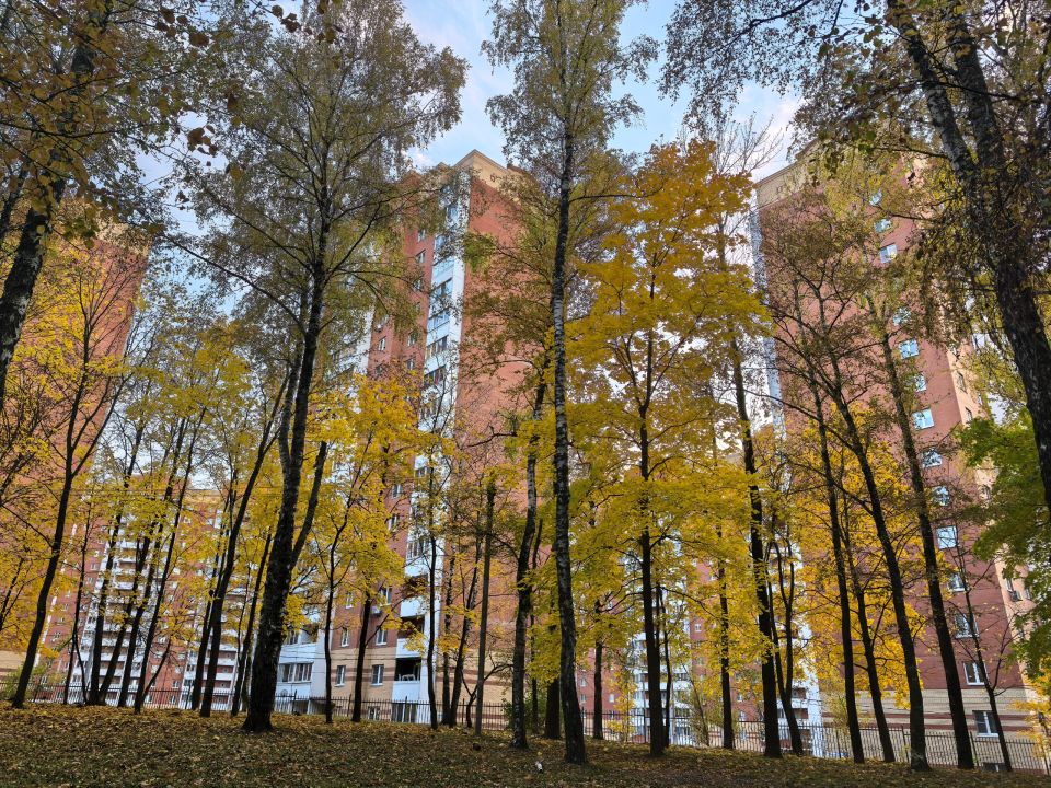 Погода - как вызов, который принят