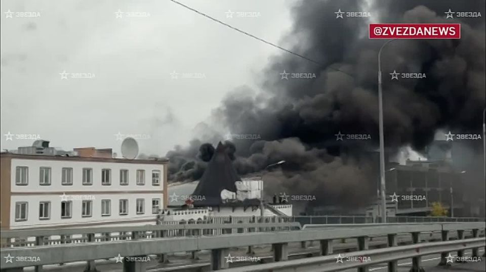 Черная стена дыма накрыла подмосковное Пушкино — площадь пожара около 2,5 тысячи "квадратов"