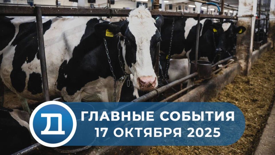 Новая ферма племзавода «Повадино» готовится принять 1200 коров