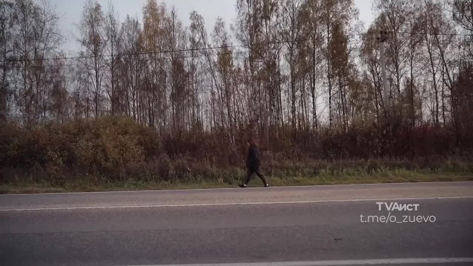 Сумерки сгущаются, а вместе с ними растет и риск ДТП