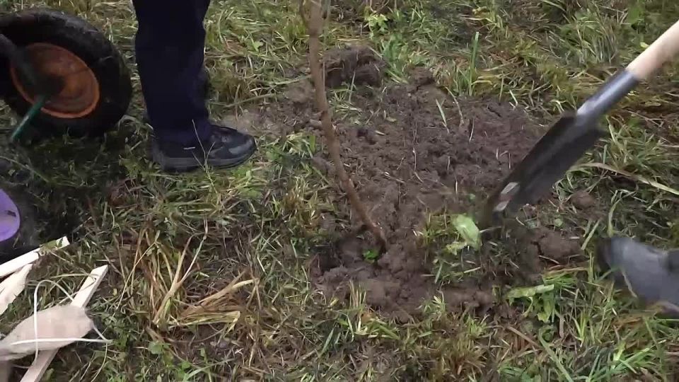 Михаил Собакин: Вместе с жителями, Ветеранами специальной военной операции, духовенством, Молодогвардейцами партии "Единая Россия", Волонтерами Подмосковья муниципального округа Чехов и активистами "Движения Первых" вблизи...