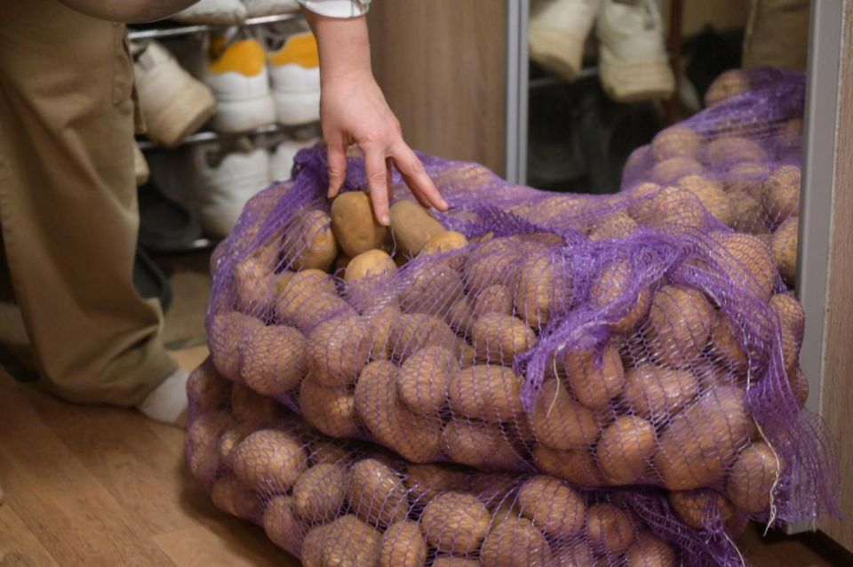 Три тонны картофеля получили волонтёры Сергиево-Посадского округа для приготовления домашней еды бойцам СВО