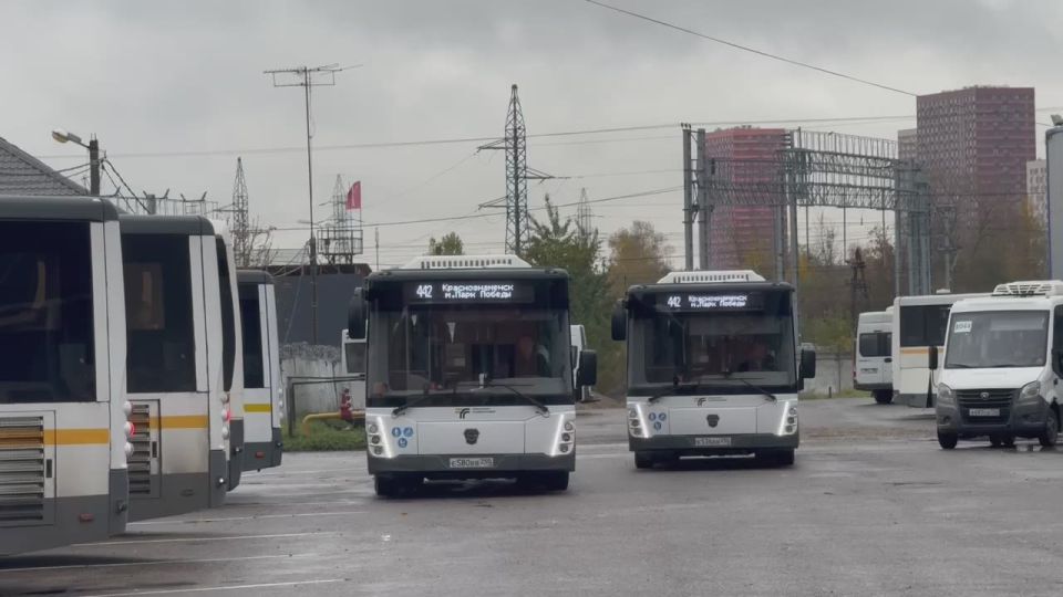  :    6   5   -      442  339