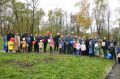 В Дмитрове сотрудники МЧС России высадили деревья в честь Дня отца
