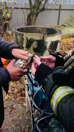 Подмосковные спасатели провели реанимацию пострадавшим в пожаре голубям
