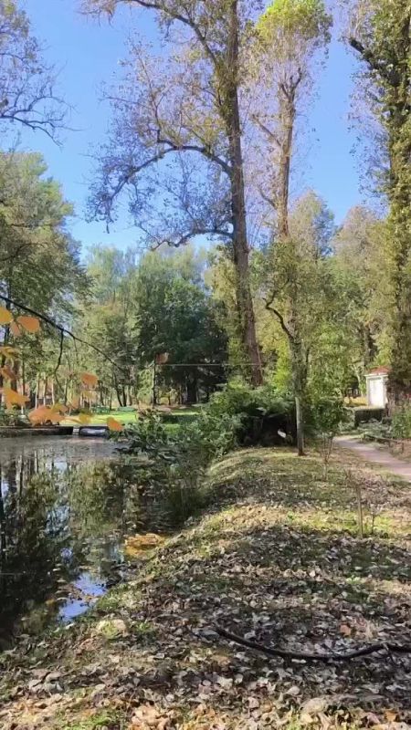 Осень в Мелихове и музыка Эдуарда Артемьева