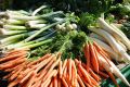 Сад на затененной стороне: как вырастить вкусные овощи в условиях недостатка света