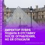 Директор Лувра Лоранс Де Кар подала в отставку после ограбления