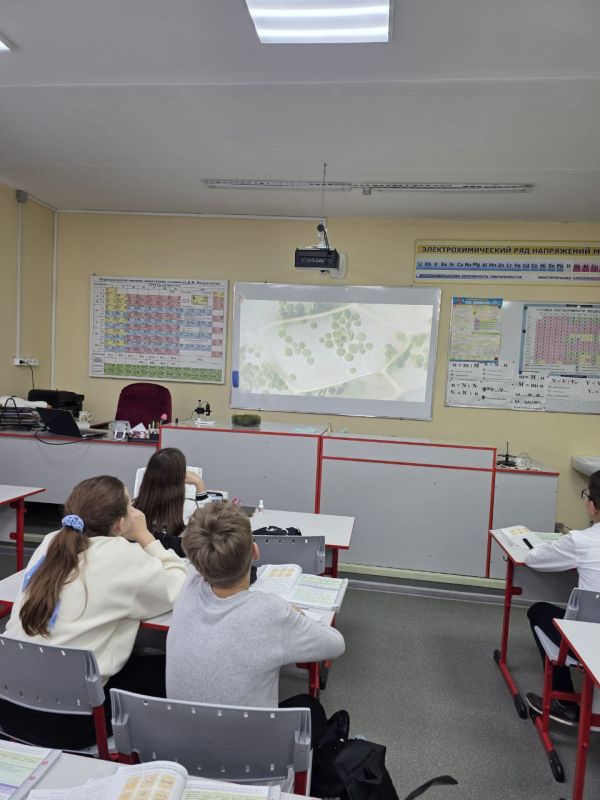    :     8  &quot; &quot;   !