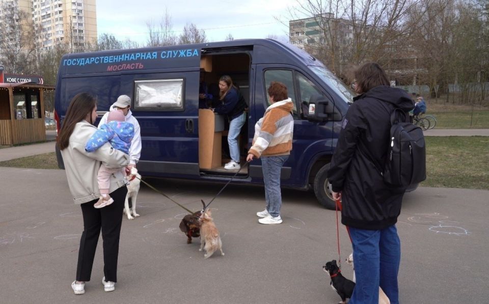 В парке Долгопрудного пройдут чипирование и вакцинация питомцев