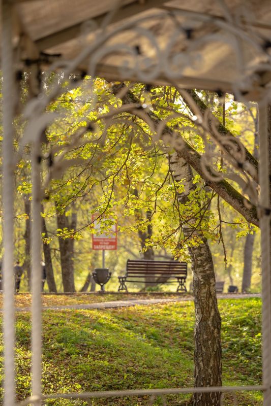 Сегодня в Парках Чехова. СРЕДА (22 октября) Анимационная программа "Детские игры" (0+)