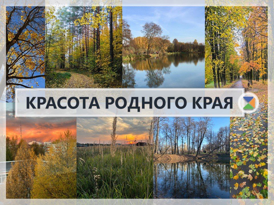 РОДНОЙ КРАЙ В КАДРЕ: ВЗГЛЯД ЮНЫХ ФОТОГРАФОВ