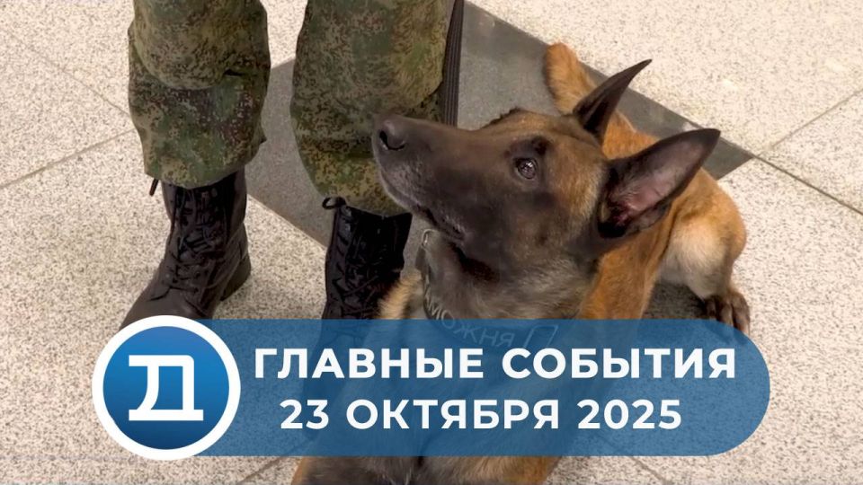 В преддверии профессионального праздника сотрудников таможенной службы в аэропорту Домодедово открыли фотовыставку