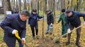 Врачи Раменской больницы высадили клены в городском парке