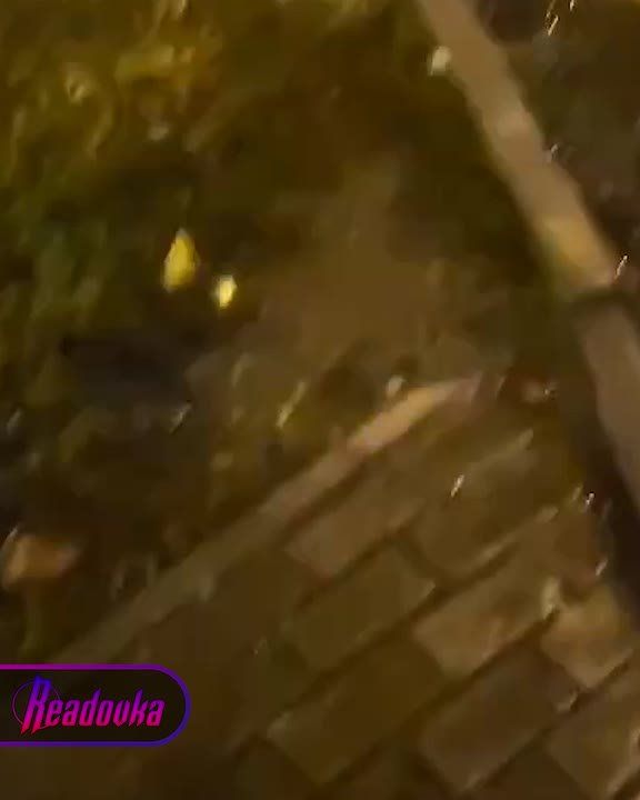 БПЛА влетел в квартиру в Подмосковье