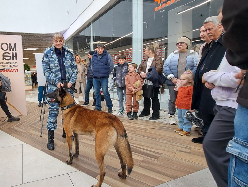 В Пушкино провели акцию «Полиция – наш защитник!» В Пушкино провели акцию «Полиция – наш защитник!»