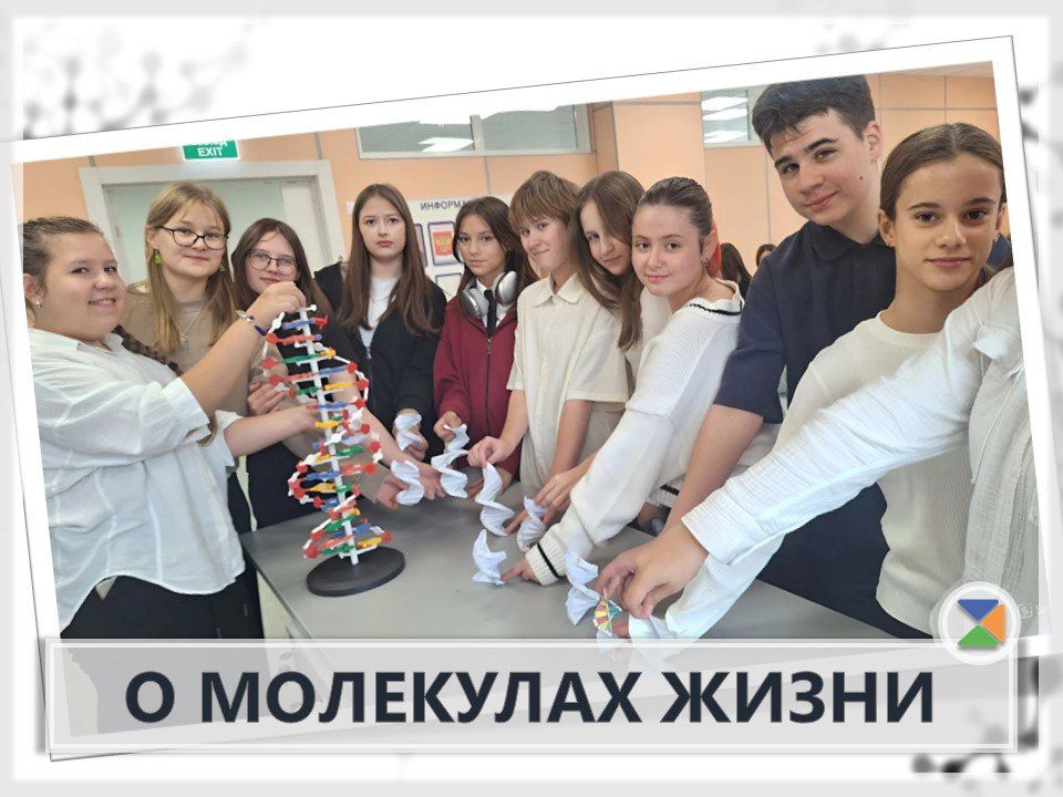 О МОЛЕКУЛАХ ЖИЗНИ. Увлекательное занятие по молекулярной генетике в 8г классе в рамках недели естественных наук