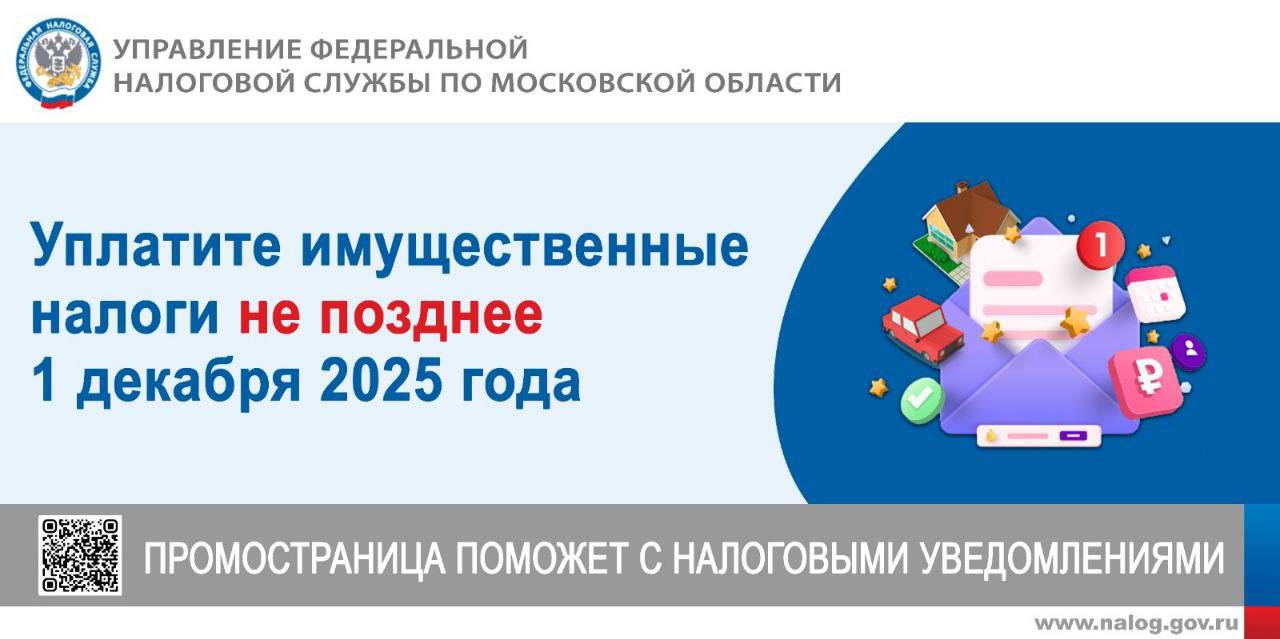 Мытищинцам напоминают о сроках уплаты налогов