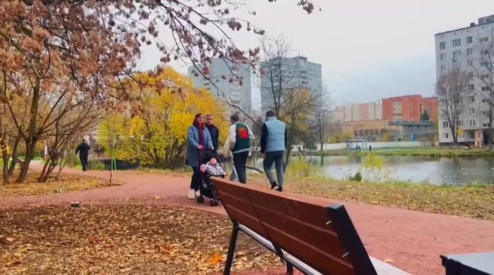  :   8         -   , -    