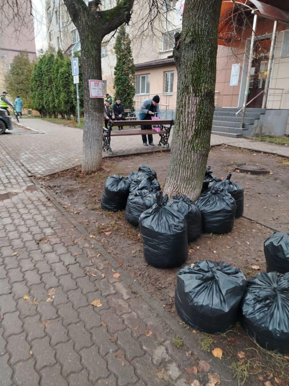 УК Богородского округа вышли на осенний субботник УК Богородского округа вышли на осенний субботник