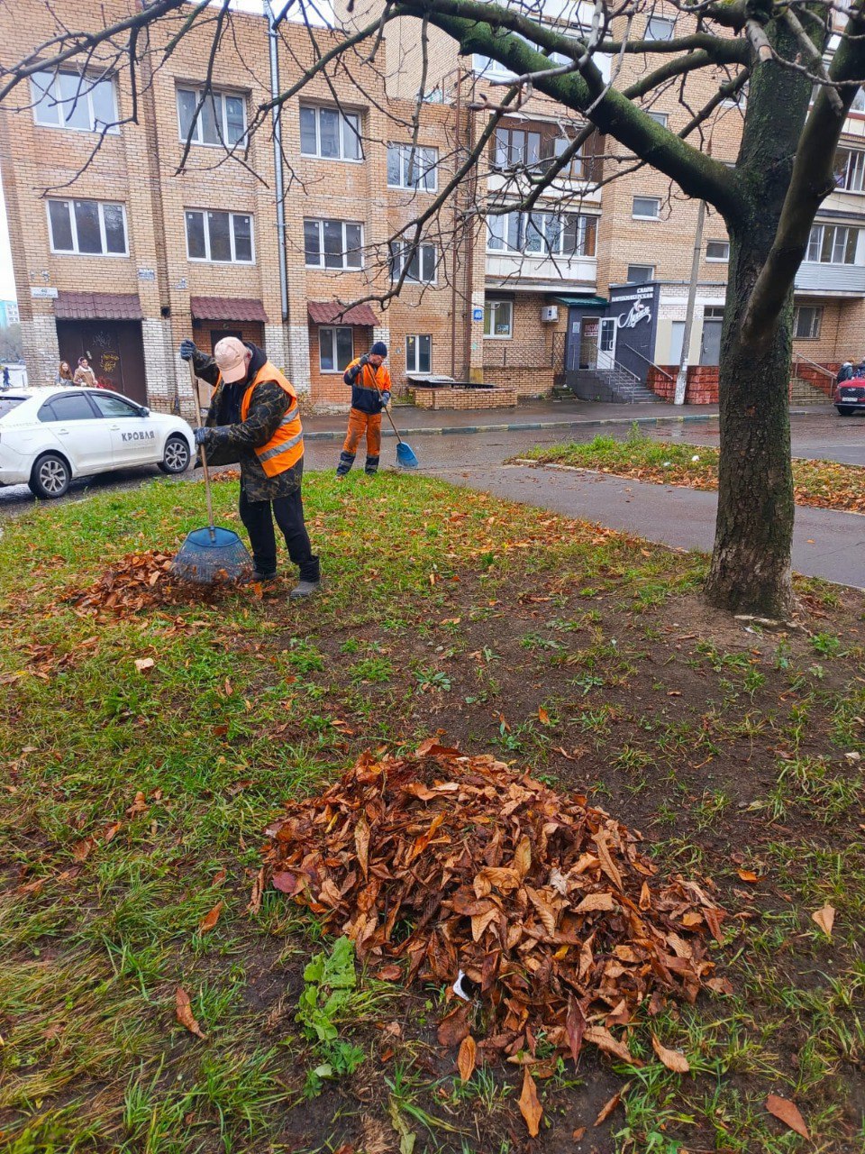 Почти 300 м мусора и листвы вывезли в Люберцах за неделю Почти 300 м мусора и листвы вывезли в Люберцах за неделю