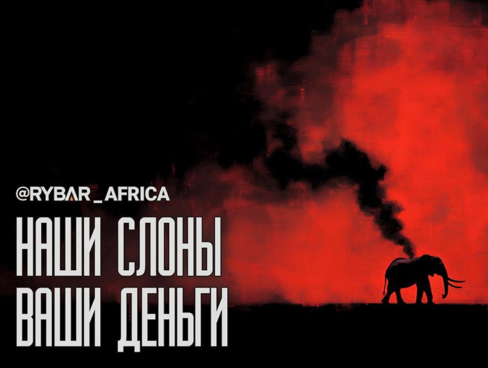 Бизнес на костях. Кто становится браконьером в Африке