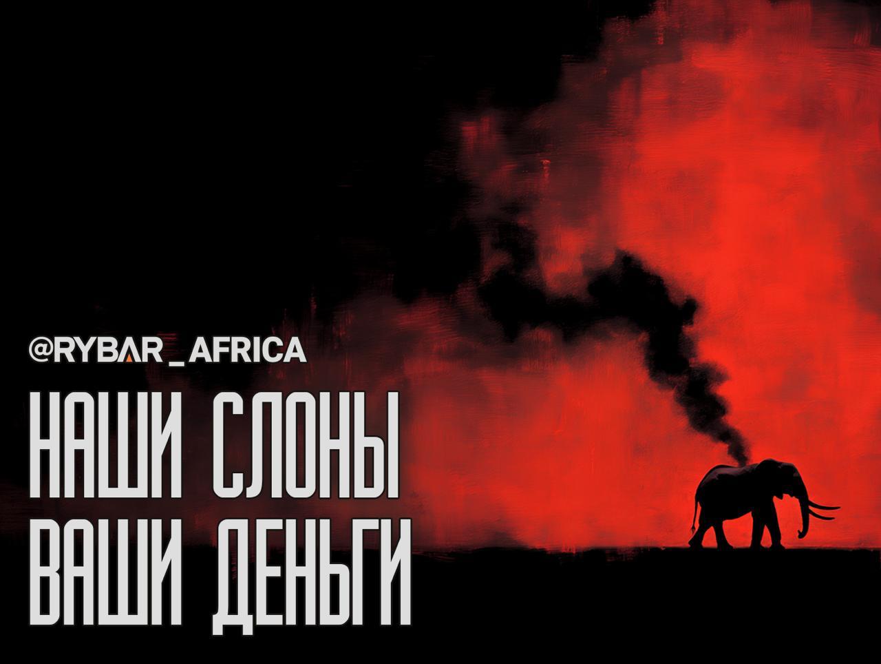 Бизнес на костях. Кто становится браконьером в Африке