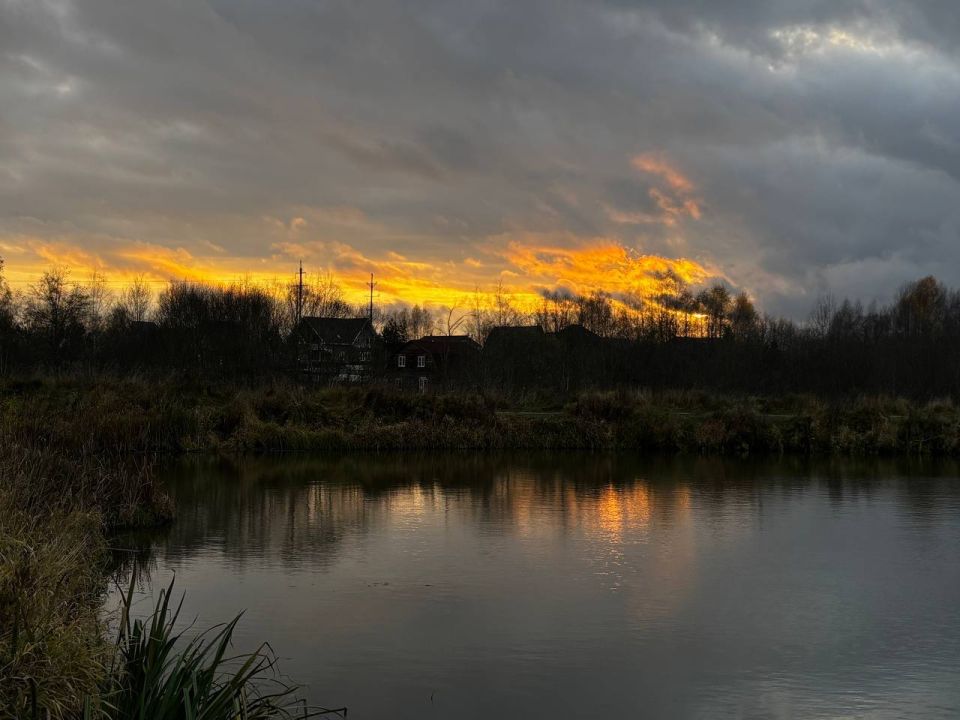 Константин Михальков: Солнечногорские закаты самые красивые