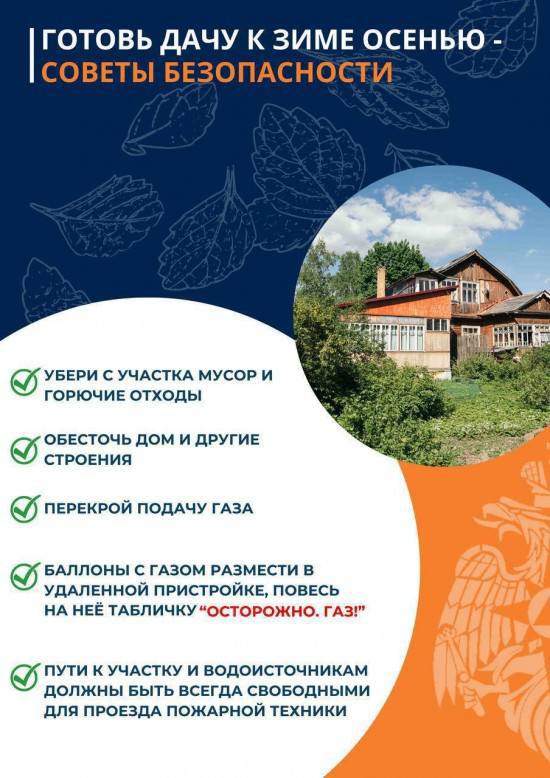 Мытищинцам рекомендуют готовить дачные участки к зиме заранее