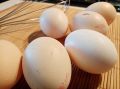 «Выпечка к чаю»: ванильный бисквит  - базовый рецепт, который порадует друзей