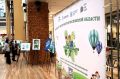 Мытищинцев приглашают к участию в конкурсе «Экоподмосковье»