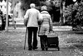 Как сохранить право на совместное имущество после утраты супруга: пошаговая инструкция
