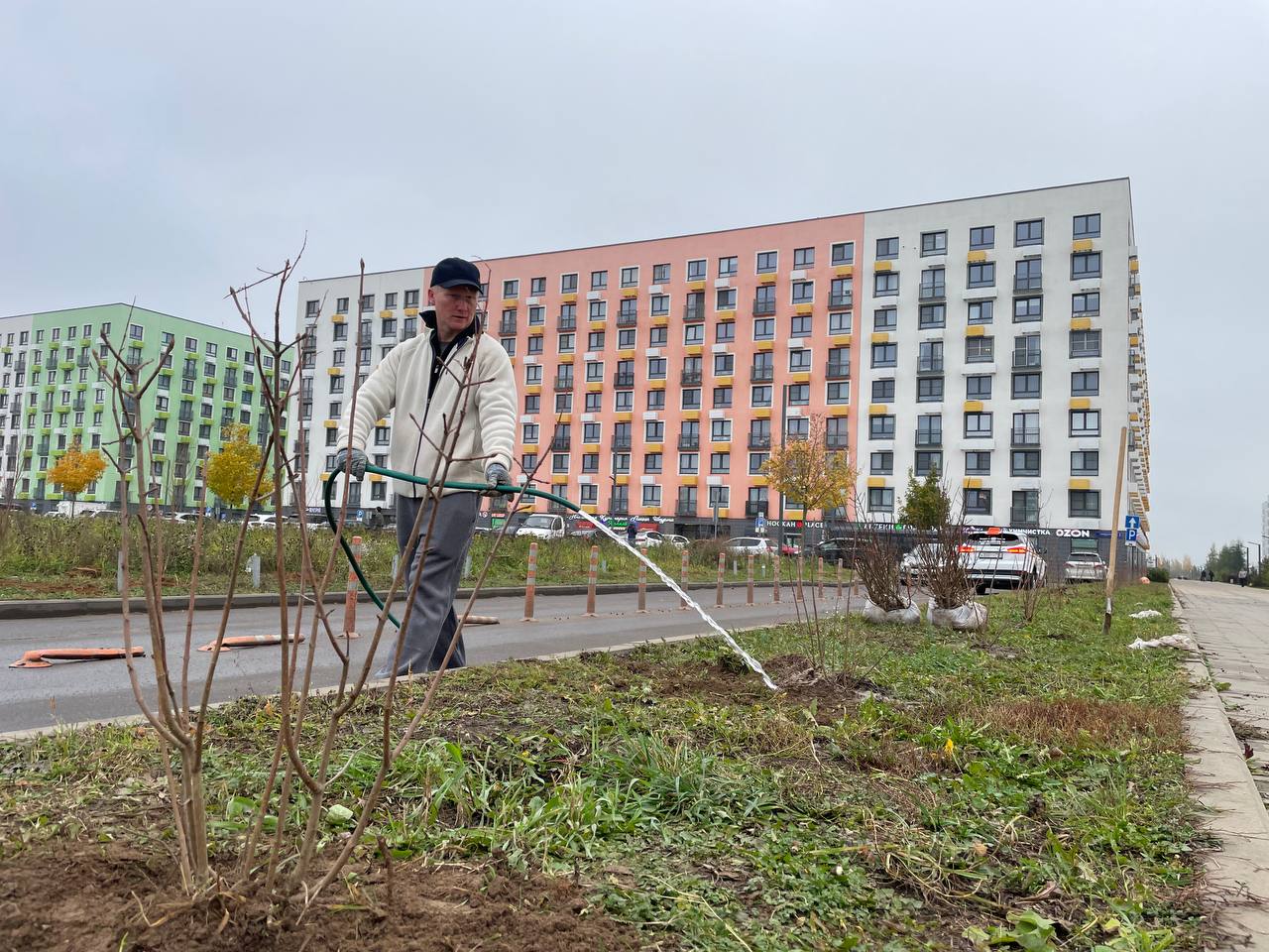 В жилом комплексе «Ильинские луга» прошла акция по озеленению территории В жилом комплексе «Ильинские луга» прошла акция по озеленению территории
