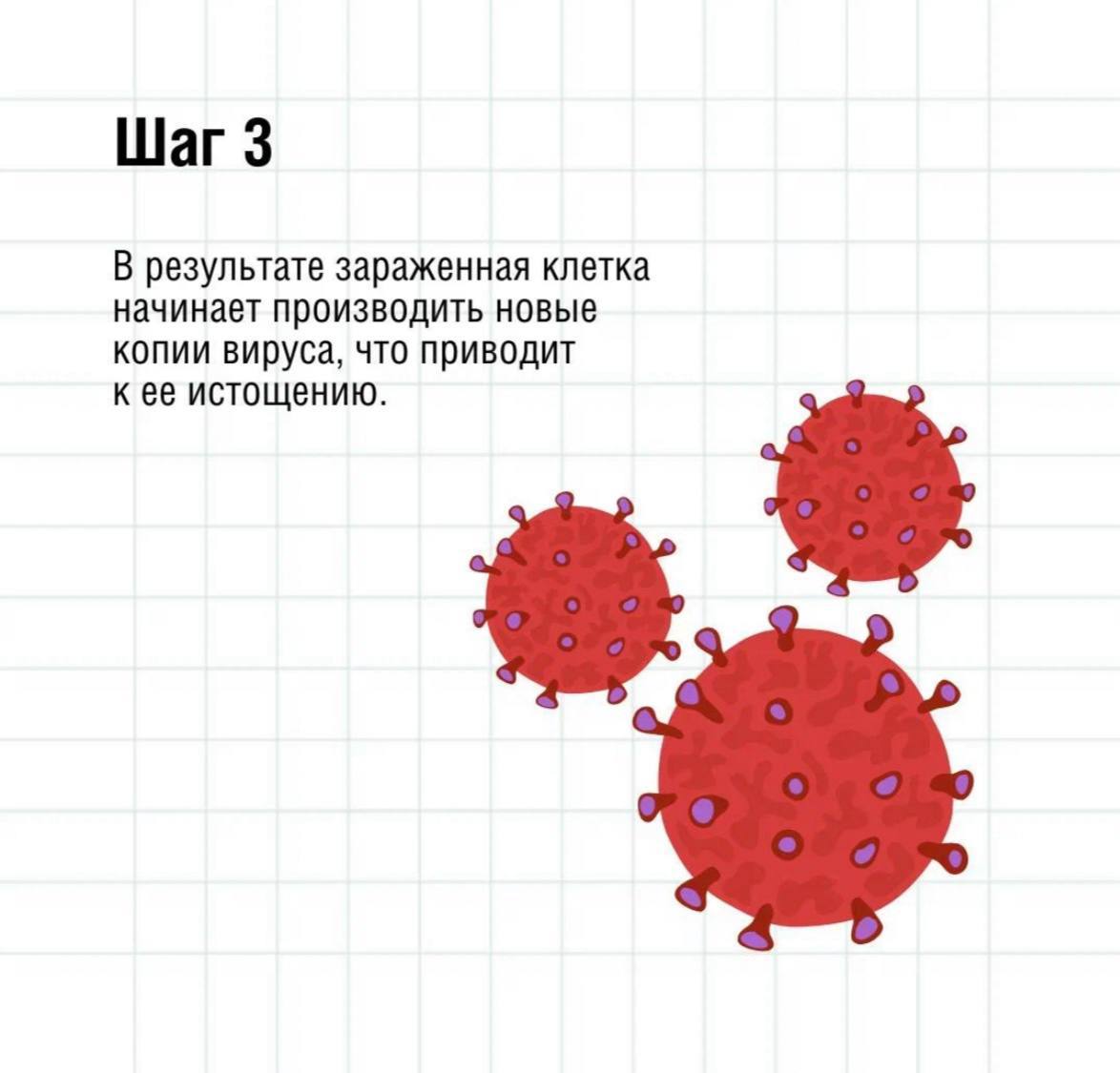 Роспотребнадзор обращает внимание на необходимость повышения осведомленности о ВИЧ-инфекции, вокруг которой до сих пор существует множество ложных стереотипов Роспотребнадзор обращает внимание на необходимость повышения осведомленности о ВИЧ-инфекции, вокруг которой до сих пор существует множество ложных стереотипов