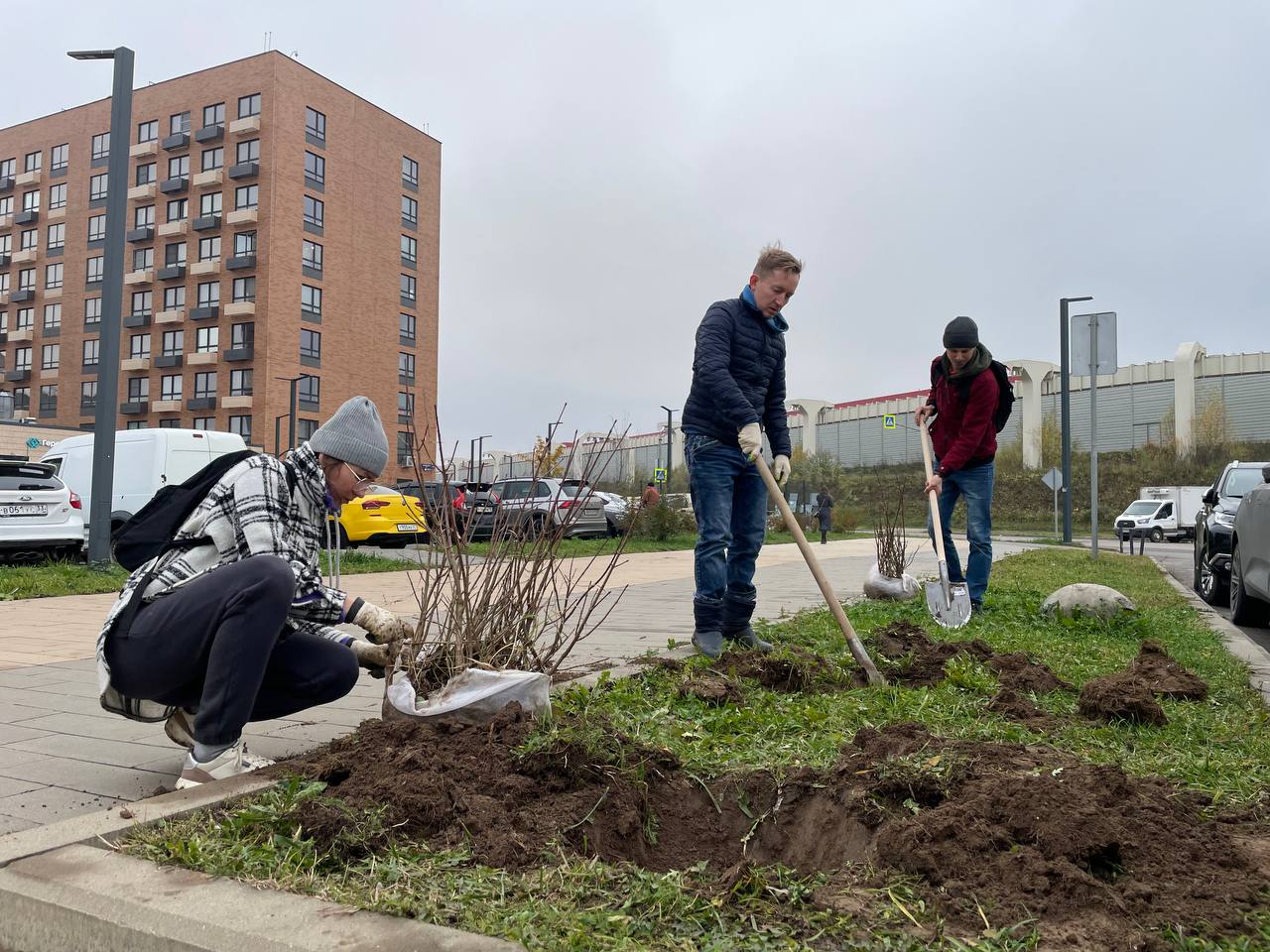 В жилом комплексе «Ильинские луга» прошла акция по озеленению территории В жилом комплексе «Ильинские луга» прошла акция по озеленению территории