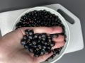 Невероятный пирог со свежей смородиной: легкий и быстрый рецепт, который стоит попробовать