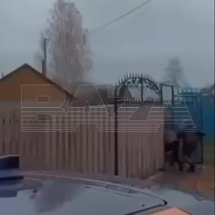 В Уфе мужчина три года следит за бывшей женой и избивает ее