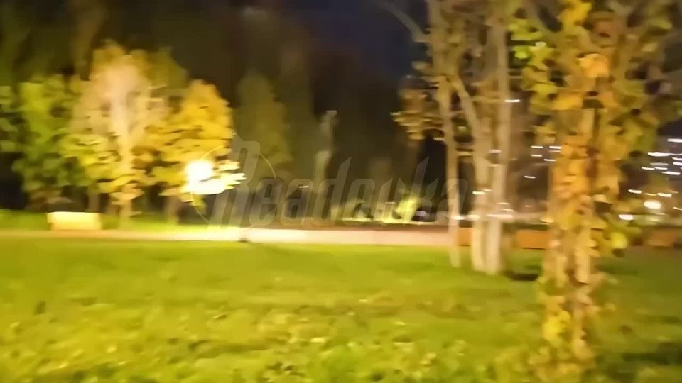 Подмосковный парк превратился в рейв-площадку из-за проблем с электропроводкой Фонари в Супоневском лесопарке на один вечер заменились на стробоскопы — бесперебойное мигание ламп сделало из древесной чащи техно-клуб под...