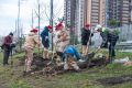 В Реутове высадили более 20 деревьев в рамках экоакции