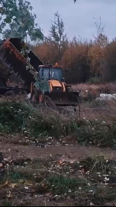 Татьяна Витушева: На территории муниципального округа Истра вновь выявлен факт незаконного сброса строительного мусора